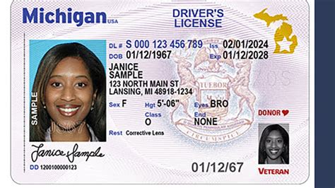 state of michigan id card replacement